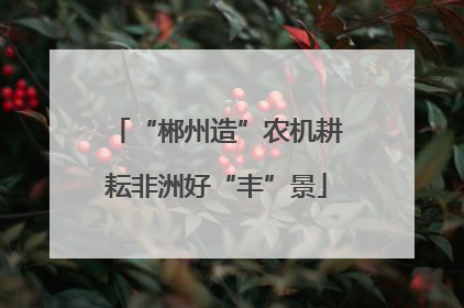 “郴州造”农机耕耘非洲好“丰”景