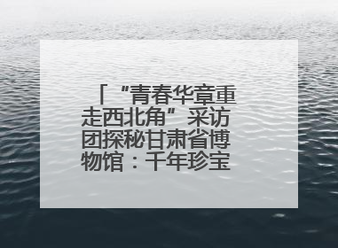 “青春华章重走西北角”采访团探秘甘肃省博物馆：千年珍宝诉说丝路辉煌