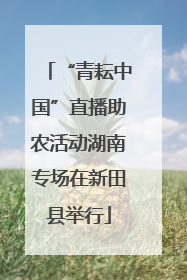 “青耘中国”直播助农活动湖南专场在新田县举行