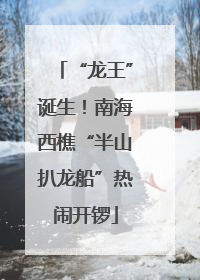 “龙王”诞生！南海西樵“半山扒龙船”热闹开锣