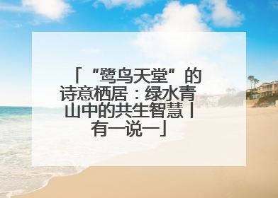 “鹭鸟天堂”的诗意栖居：绿水青山中的共生智慧丨有一说一
