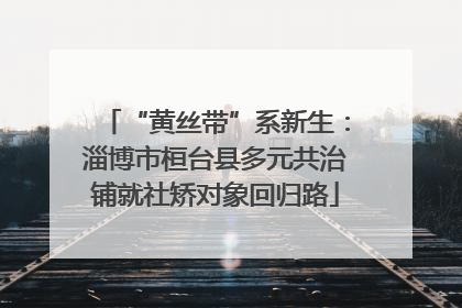 “黄丝带”系新生：淄博市桓台县多元共治铺就社矫对象回归路