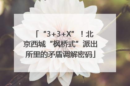 “3+3+X”！北京西城“枫桥式”派出所里的矛盾调解密码