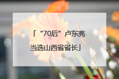 “70后”卢东亮当选山西省省长