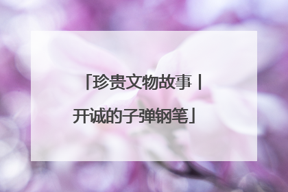 珍贵文物故事丨开诚的子弹钢笔