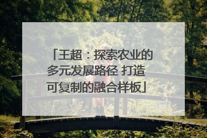 王超：探索农业的多元发展路径 打造可复制的融合样板