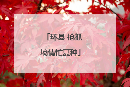 环县 抢抓墒情忙夏种
