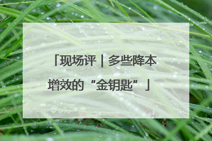 现场评｜多些降本增效的“金钥匙”