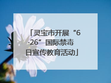 灵宝市开展“6·26”国际禁毒日宣传教育活动
