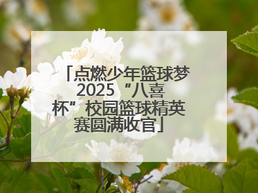 点燃少年篮球梦 2025“八喜杯”校园篮球精英赛圆满收官