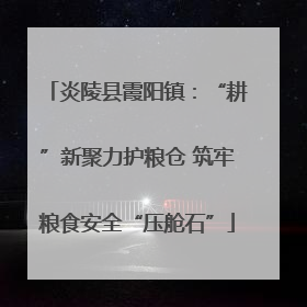 炎陵县霞阳镇：“耕”新聚力护粮仓 筑牢粮食安全“压舱石”