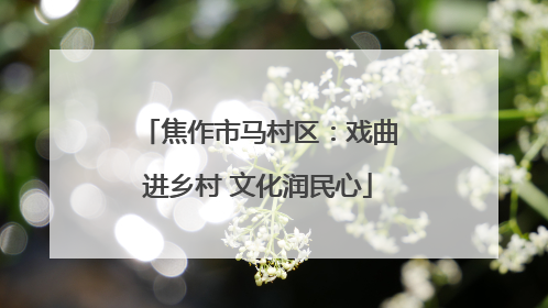 焦作市马村区：戏曲进乡村 文化润民心