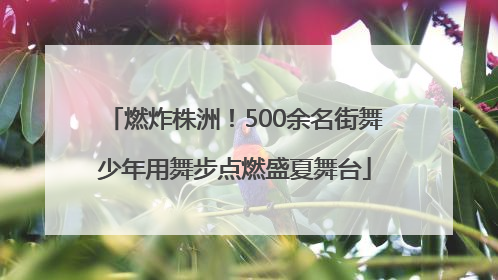 燃炸株洲！500余名街舞少年用舞步点燃盛夏舞台