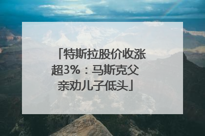 特斯拉股价收涨超3%：马斯克父亲劝儿子低头