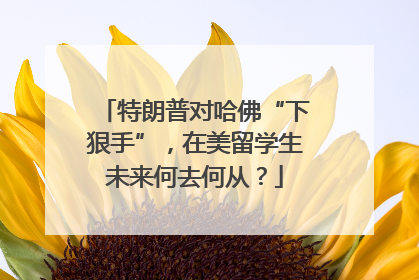 特朗普对哈佛“下狠手”，在美留学生未来何去何从？