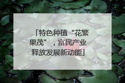 特色种植“花繁果茂”，富民产业释放发展新动能