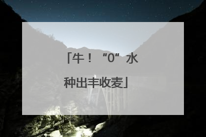 牛！“0”水种出丰收麦