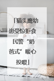 猫头鹰幼崽受惊拒食 民警“奶爸式”暖心投喂