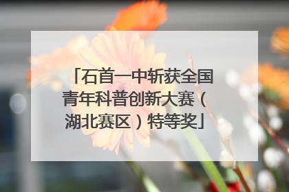 石首一中斩获全国青年科普创新大赛（湖北赛区）特等奖
