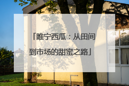 睢宁西瓜：从田间到市场的甜蜜之路