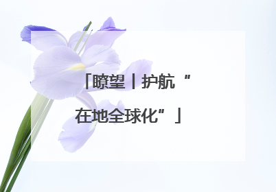 瞭望丨护航“在地全球化”