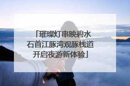 璀璨灯串映碧水 石首江豚湾观豚栈道开启夜游新体验