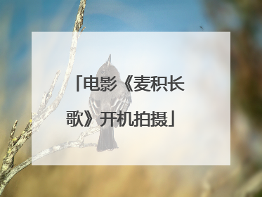 电影《麦积长歌》开机拍摄