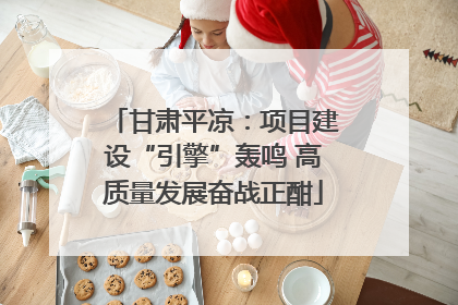 甘肃平凉：项目建设“引擎”轰鸣 高质量发展奋战正酣