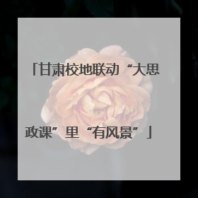甘肃校地联动“大思政课”里“有风景”