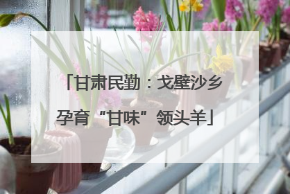甘肃民勤：戈壁沙乡孕育“甘味”领头羊