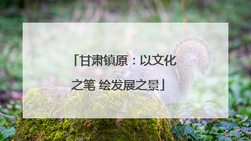 甘肃镇原：以文化之笔 绘发展之景