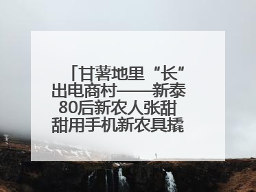 甘薯地里“长”出电商村——新泰80后新农人张甜甜用手机新农具撬动乡村振兴