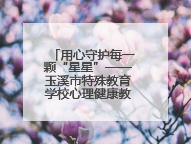 用心守护每一颗“星星”——玉溪市特殊教育学校心理健康教育工作纪实