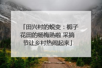 田兴村的蜕变：栀子花田的杨梅熟啦 采摘节让乡村热闹起来