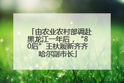 由农业农村部调赴黑龙江一年后，“80后”王杕履新齐齐哈尔副市长
