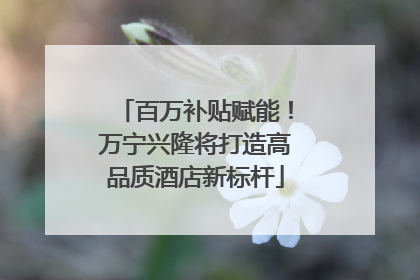 百万补贴赋能！万宁兴隆将打造高品质酒店新标杆