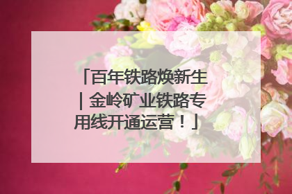 百年铁路焕新生｜金岭矿业铁路专用线开通运营！