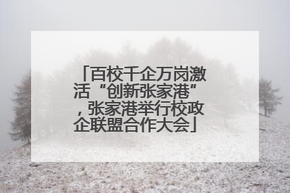百校千企万岗激活“创新张家港”，张家港举行校政企联盟合作大会