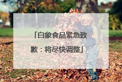 白象食品紧急致歉：将尽快调整