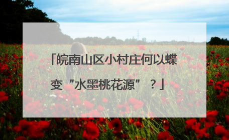 皖南山区小村庄何以蝶变“水墨桃花源”？