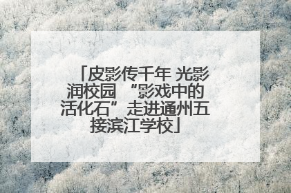 皮影传千年 光影润校园 “影戏中的活化石”走进通州五接滨江学校