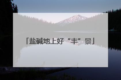 盐碱地上好“丰”景