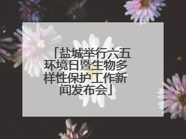 盐城举行六五环境日暨生物多样性保护工作新闻发布会