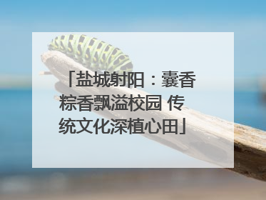 盐城射阳：囊香粽香飘溢校园 传统文化深植心田
