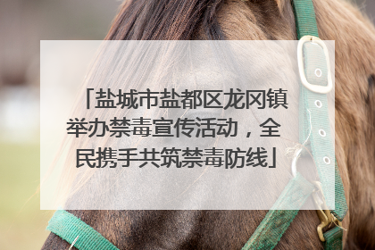 盐城市盐都区龙冈镇举办禁毒宣传活动，全民携手共筑禁毒防线