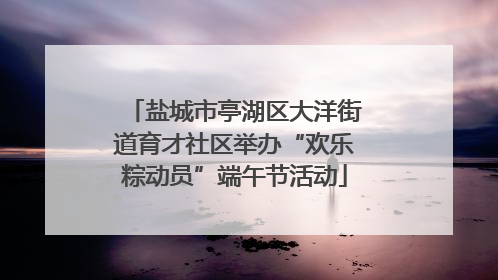 盐城市亭湖区大洋街道育才社区举办“欢乐粽动员”端午节活动
