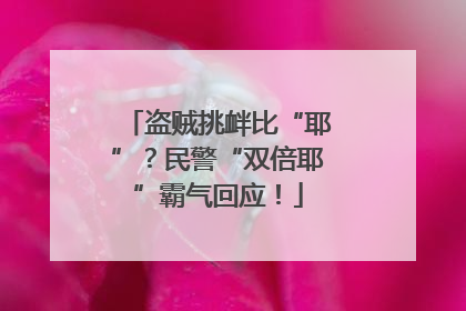 盗贼挑衅比“耶”？民警“双倍耶”霸气回应！