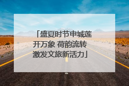 盛夏时节申城莲开万象 荷韵流转激发文旅新活力