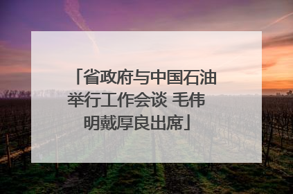 省政府与中国石油举行工作会谈 毛伟明戴厚良出席