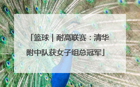 篮球｜耐高联赛：清华附中队获女子组总冠军